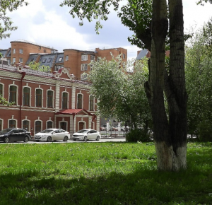 Аптекарский сад 