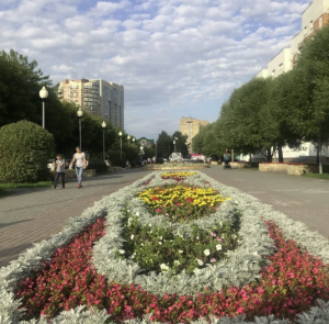 Аллея Молодожёнов 