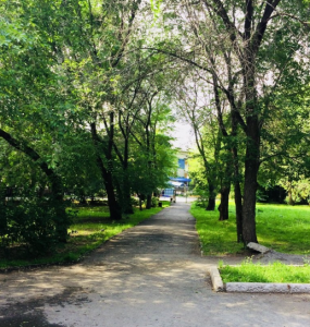 Сквер Дружбы 