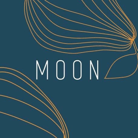 MOON MOON
